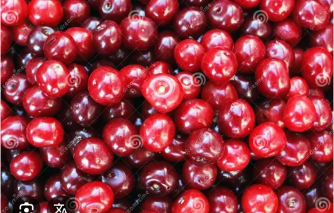 Куплю вишню