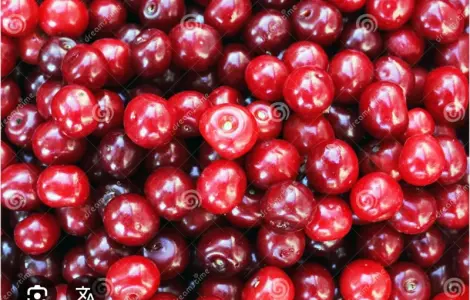 Куплю вишню