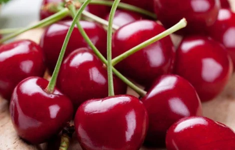 Закупаем вишню!Высокие цены