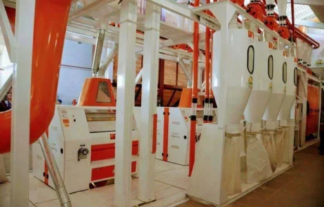 Пропонується борошно вищого та 1 гатунку