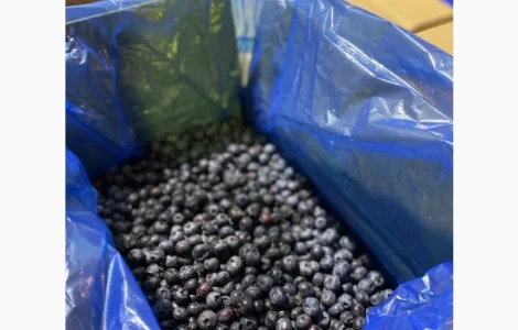 Продам голубику замороженную