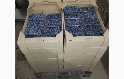 Продам голубику
