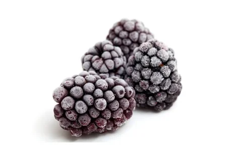 Ожина культивована продам шокова заморозка