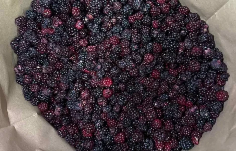 Ожина лесная свежезамороженная в упаковке 25 кг