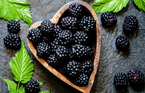 Купуємо оптом свіжу ягоду ожини