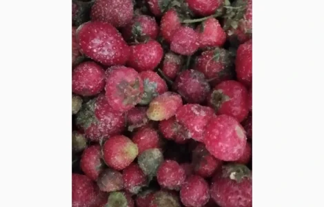 Продам полуницю заморожену дрібну з хвостиком