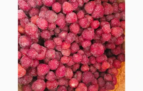 Продам полуницю