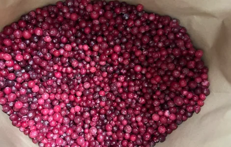 Продам клюкву