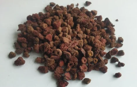 Продам малину сушену