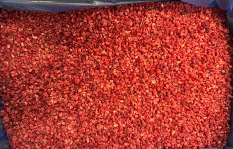 Продам малину грис