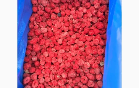 Продам малину 70/30