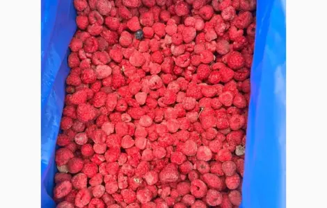 Продам малину 70/30