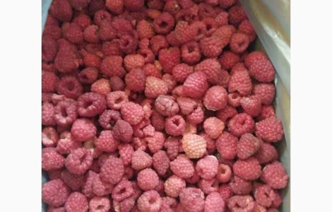 Куплю замороженную малину