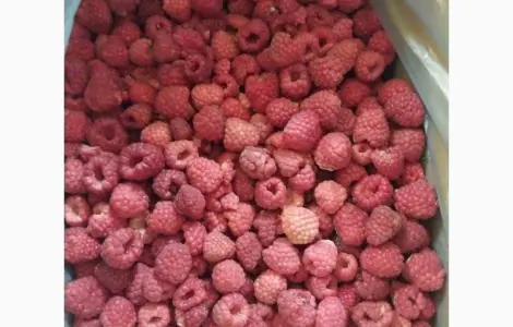 Куплю замороженную малину