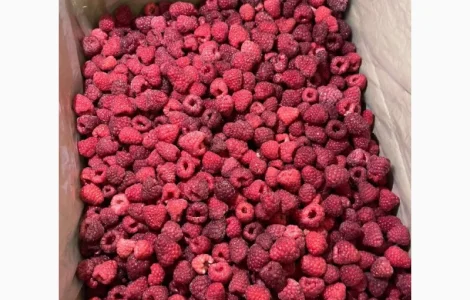 Продам малину оригінал