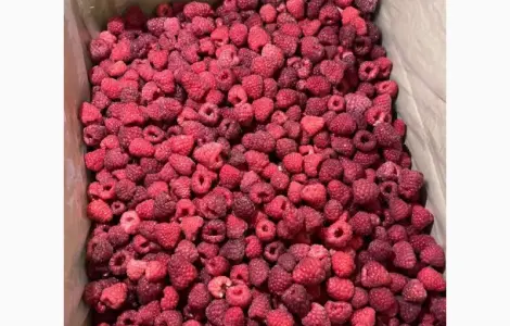 Продам малину оригинал