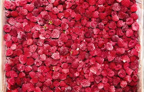 Куплю малину свежую и замороженную - 90/10