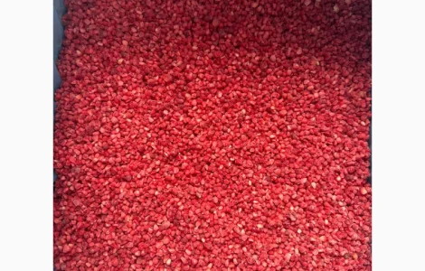 Куплю!!! Малина Грис