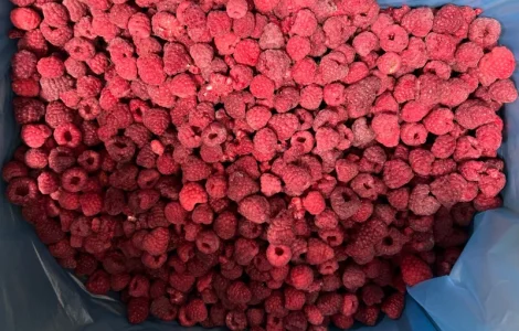 Продам замороженную : Малину (90/10