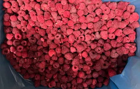 Продам заморожену : Малину (90/10