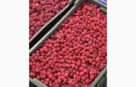 Продам замороженную малину оригинал