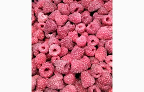 Закупаем малину оптом