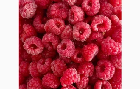 Купуємо малину заморожену