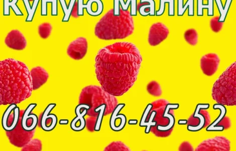 Куплю Малину