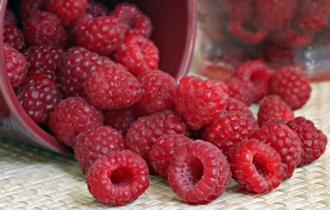 Куплю малину от населения и оптом