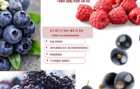 Куплю малину и ягоди оптом