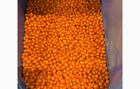 Продам Замороженную Ягоду Облепихи
