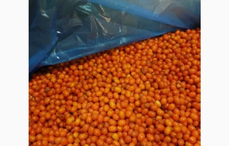 Продается замороженная облепиха