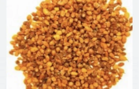 Продам обліпиху сушену