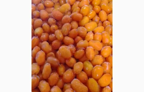 Продам обліпиху заморожену оптом від 10 тонн