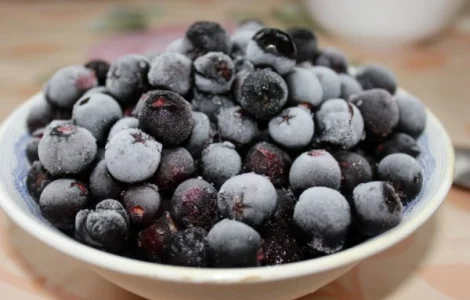 Куплю Горобину морожену