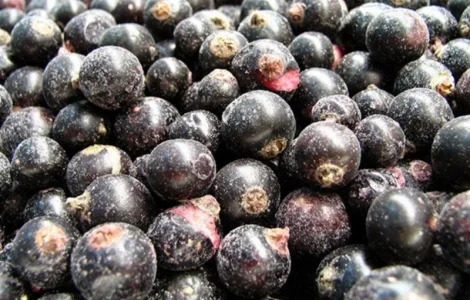 Продам смородину чёрную замороженную