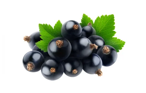 Чорна смородина гуртом