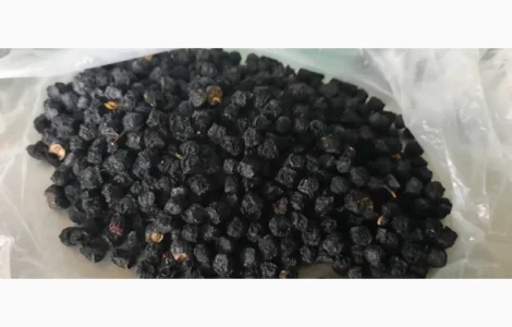 Сушена чорниця – якісний продукт від 650 грн/кг
