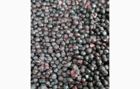 Купуємо чорницю заморожену