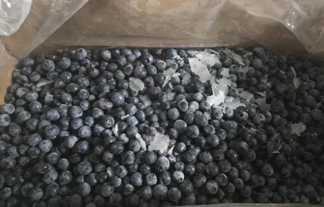 Продам морожену чорницю