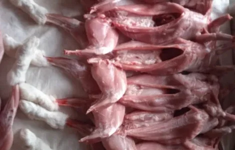 Тушки кроликов для домашней кухни