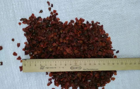 Шкурка шипшини оптом от 10 кг