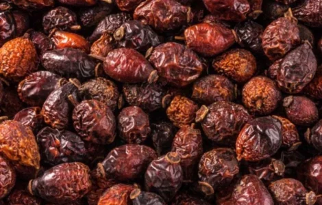 Пропонується сушена шипшина