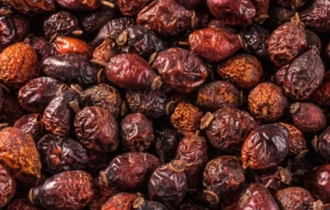 Пропонується сушена шипшина