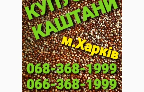 Куплю каштаны оптом Харьков