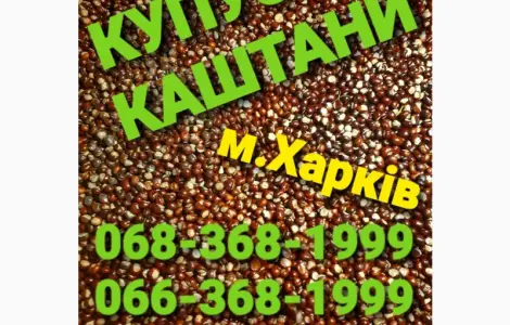 Куплю каштаны оптом Харьков
