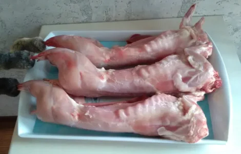 Мясо домашнего кролика в продаже
