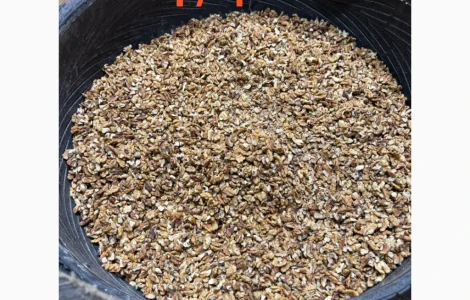 Продам ядро грецького горіха 2