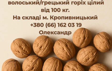 Куплю цілий волоський (грецький) горіх