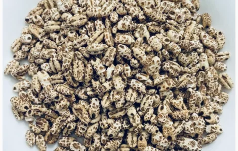 Повітряний ячмінь у продажу оптом